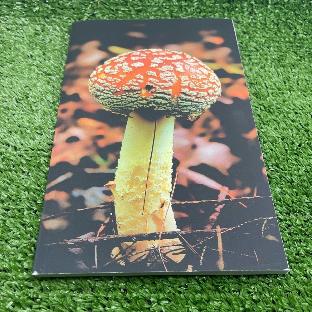 Amanita Gigante Notebook/Journal ππ - Picture 1 of 3